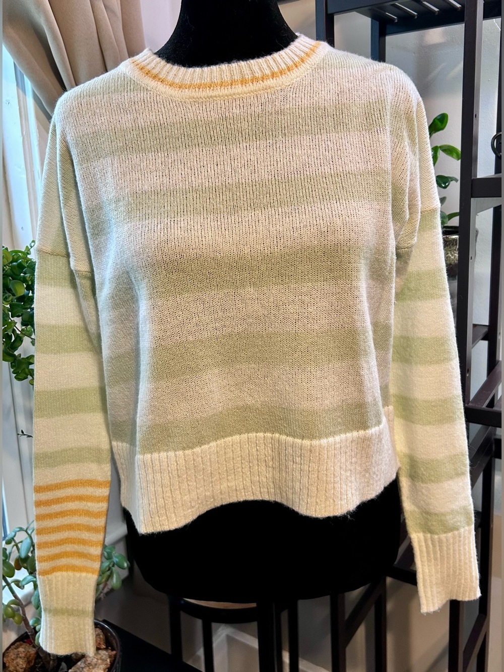 Freshman Striped Crewneck Sweater in Cream, Light Green & Yellow